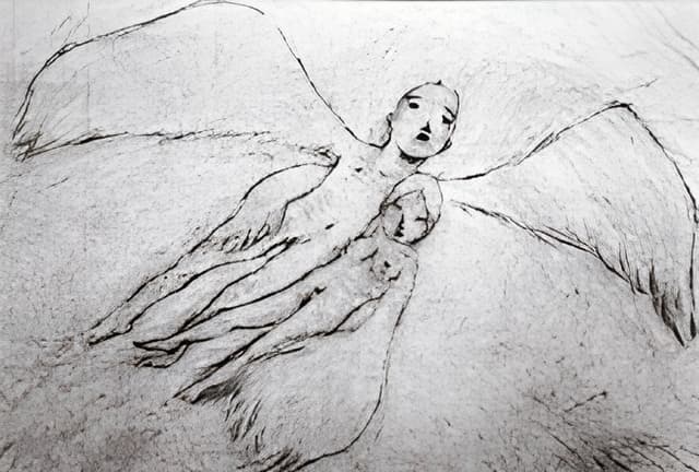 A Feather Stare at the Dark