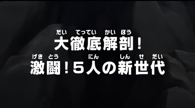 One Piece: A Comprehensive Anatomy! Fierce Fight! The Five from the New Generation