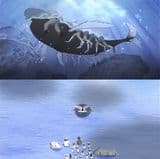 Kouchou-sensei to Kujira