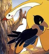 Wuya Weisheme shi Hei de