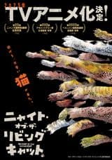 Nyaight of the Living Cat