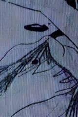 Moonlit Night and Opal