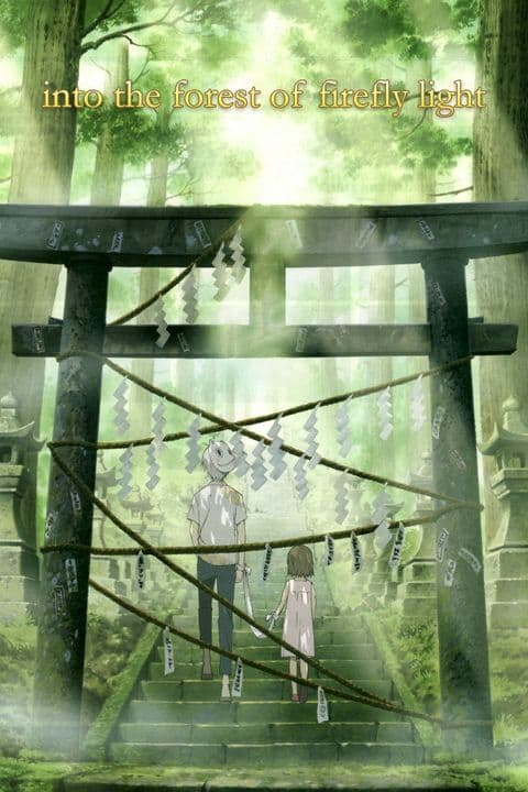 Into the Forest of Fireflies' Light