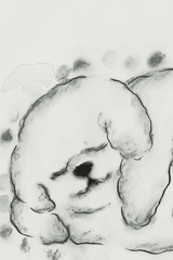 The Cloudy Dog Talk About