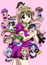 Haruka Nogizaka's Secret Purezza