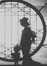 Madame Butterfly's Illusion