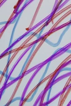 Direct Animation | Anime Oshi